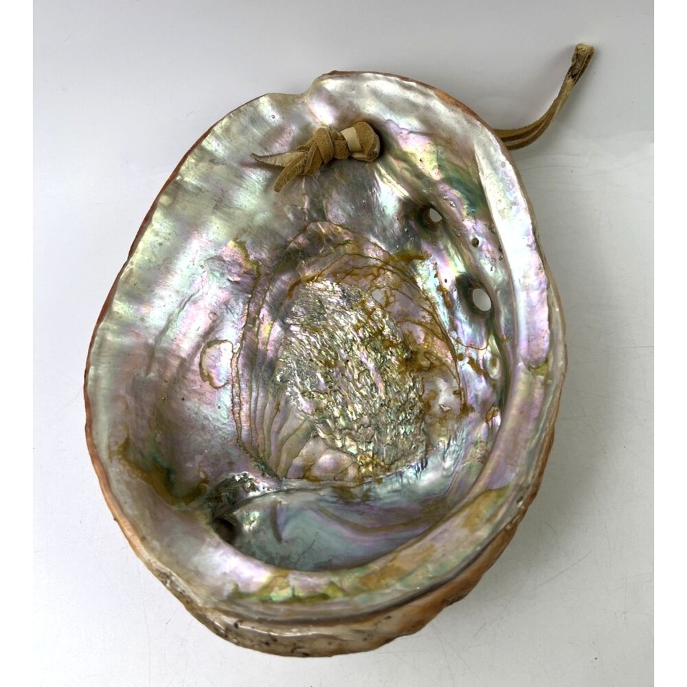 Vintage Abalone Half Shell 8.25" x 6.5" x 3"